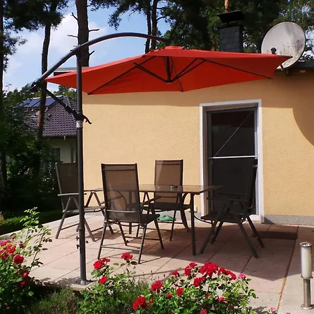 Tatil Evi Kiefernwaeldchen Mellensee Am Mellensee