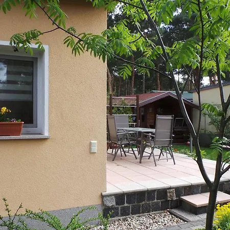 Kiefernwaeldchen Mellensee