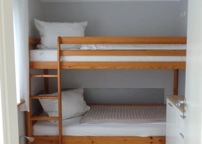 Kiefernwaeldchen Mellensee